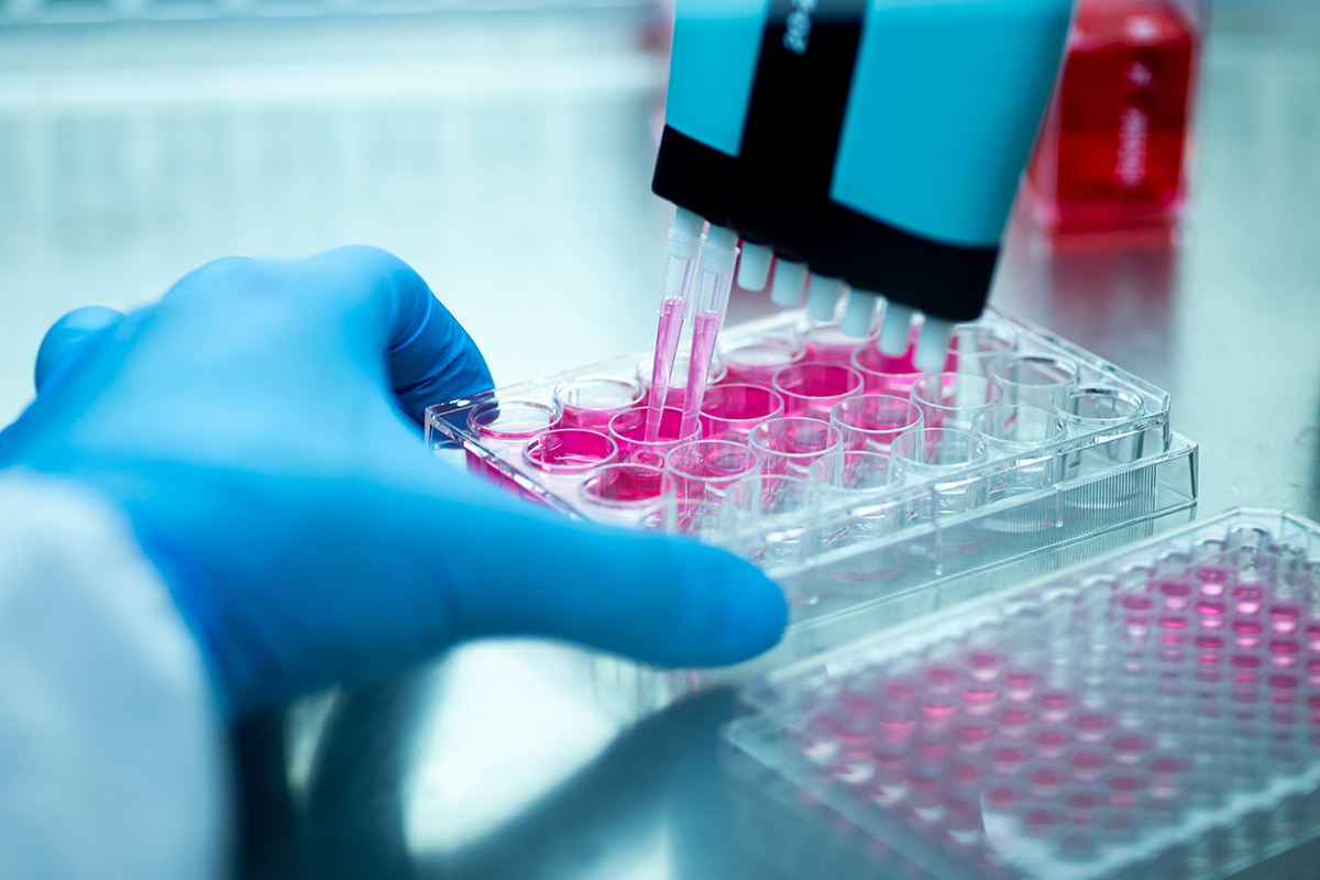 IVDR, FDA, & ISO Support Across the Product Life Cycle